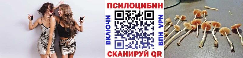 Галлюциногенные грибы Cubensis  Купить закладки  Менделеевск 